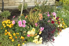 alpine-and-britt-flowers-006-scaled