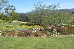 dolores-landscape-027-scaled