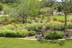 dolores-landscape-029-scaled