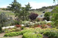 dolores-landscape-030-scaled